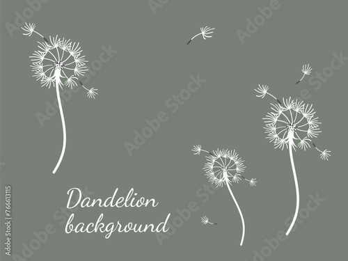 Dandelion_background1-50.eps