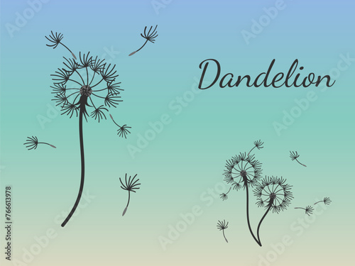 Dandelion_background8-23.eps