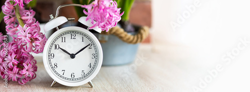 Banner. Spring change, Daylight Saving Time concept. White alarm clock and hyacinth flowers on the wooden table. Springtime home gardening, hobby, leisure. Copy space for text