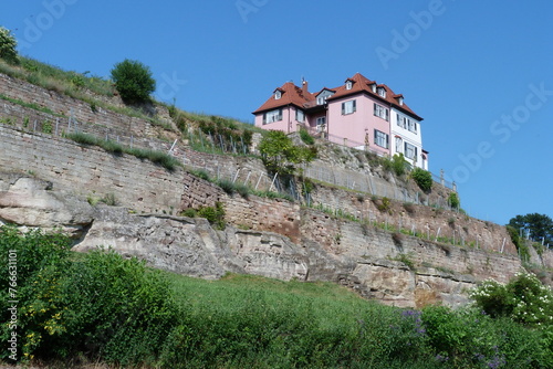 Steinernes Bilderbuch im Blütengrund Gross Jena an der Unstrut bei Naumburg an der Saale photo