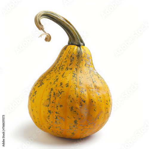 pumpkin, halloween, autumn, orange, vegetable, food, fall, thanksgiving, isolated, harvest, gourd, decoration, season, ripe, seasonal, stem, pumpkins, fruit, october, squash, fresh, object, yellow, ra photo