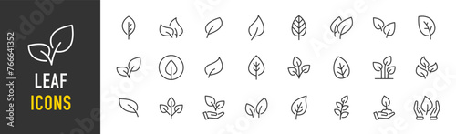 Leaf web icons in line style. Plants, ecology, herbal, vegetarian, eco, nature, collection. Vector illustration.