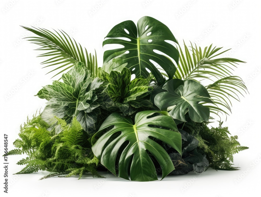 Fototapeta premium Bunch of tropical plants on a white background.