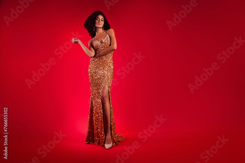 Photo of fancy chic woman wear dress celebrate festive occasion event isolated over red gradient color background