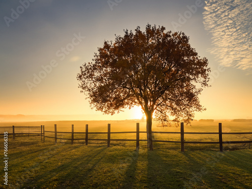 sunrise over field with tree by fence