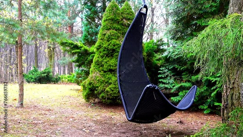 Black rocking chair hangs on tree branch in wooded homestead photo
