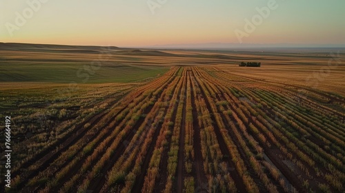 Sustainable Agriculture Cinematic shots of regenerative agriculture practices such as no-till farming and cover croppiAI generated illustration