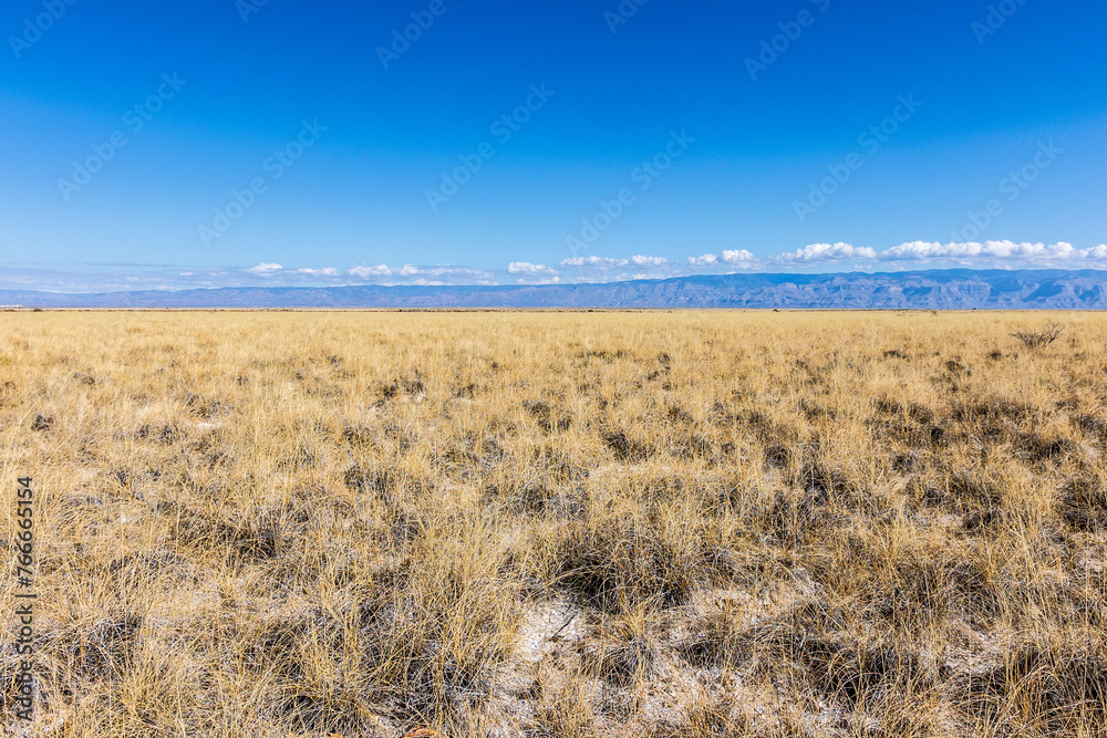 Φωτογραφία Chihuahuan desert grassland at start of Dune Life Nature Trail at White Sands NP