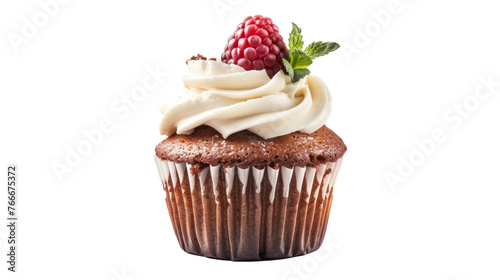 Chocolate cupcake with whipped cream and raspberry