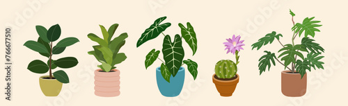 Set of home plants in flowerpots. Houseplants for modern home decoration. Hand drawn vector illustration isolated on light background, flat cartoon style.