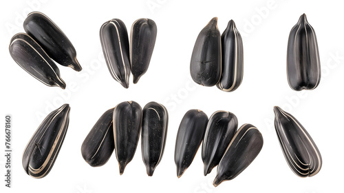 Set of delicious black sunflower seeds, cut out 