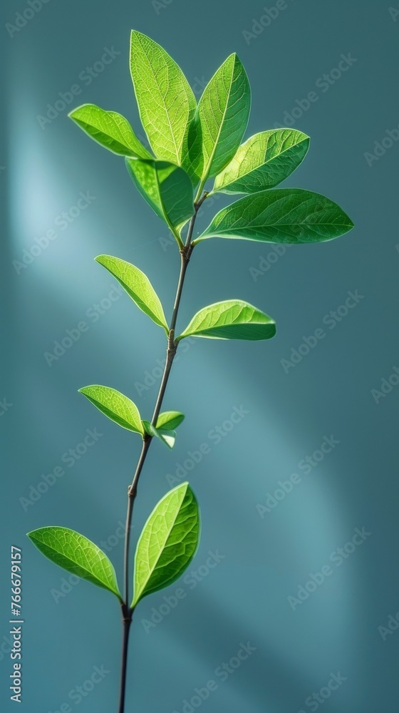 A close up of a green leaf on the branch, AI A close up of a green leaf on the branch, AI