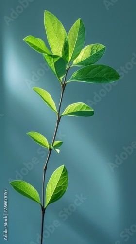 A close up of a green leaf on the branch, AI