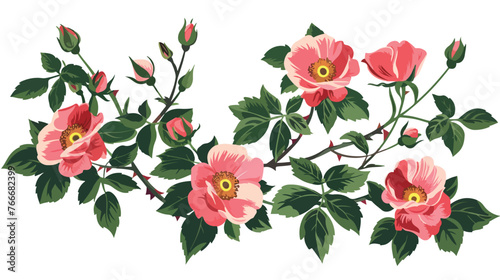 Fototapeta Naklejka Na Ścianę i Meble -  Wild rose flowers on isolated white background.Vector