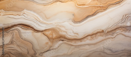 Arafed marble showcasing a detailed pattern in shades of brown and white