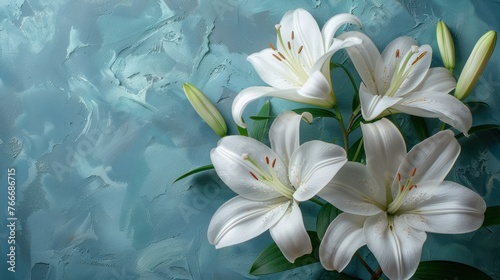 White liles flowers photo