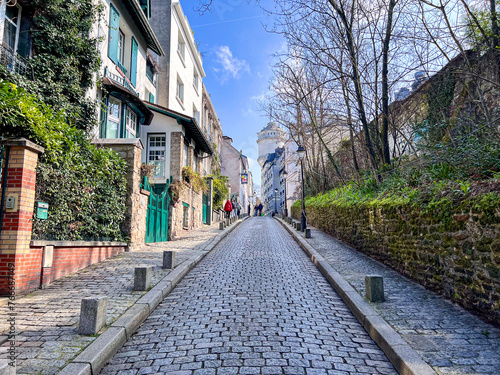 Cobblestoned street