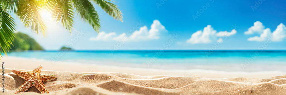 Starfish and palm tree on the sandy tropical beach. Summer vacation panoramic banner with copy space.