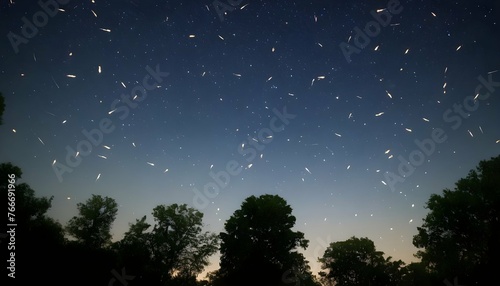 Fireflies Forming Constellations In The Sky