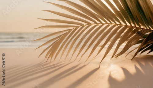 summer minimal background with shadow from natural palm leaf pastel colored aesthetic photo with palm plant