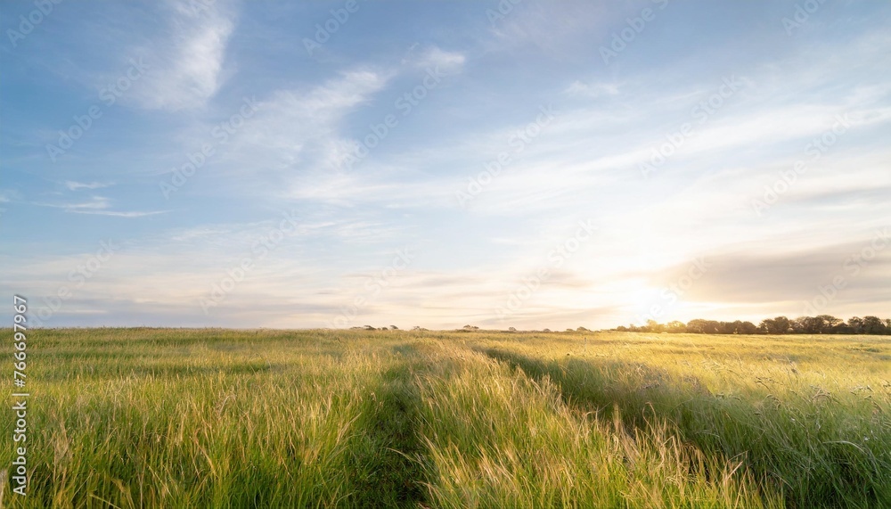 beautiful green grass field and blue sky with sunlight natural background