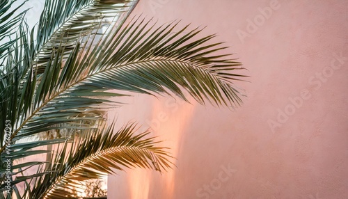 palm tree leaves on pink wall background © Leila