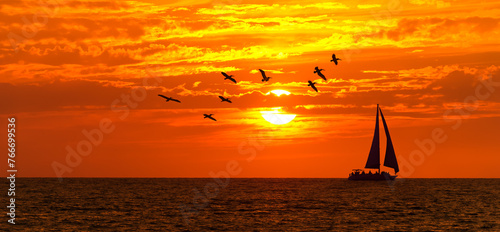 Sailboat Sunset Silhouette Inspiration Birds Boat Sailing Ocean Beach Sunrise Banner Header