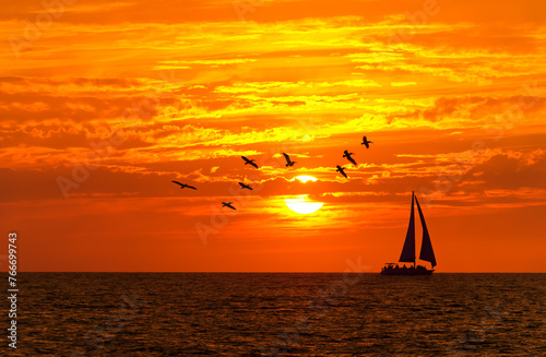 Sailboat Sunset Silhouette Inspiration Birds Boat Sailing Ocean Beach Sunrise