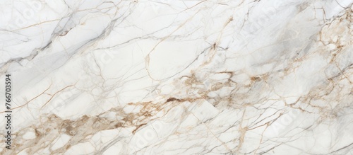 Brown and white veins are visible on a textured piece of marble  adding a unique and sophisticated touch to any design