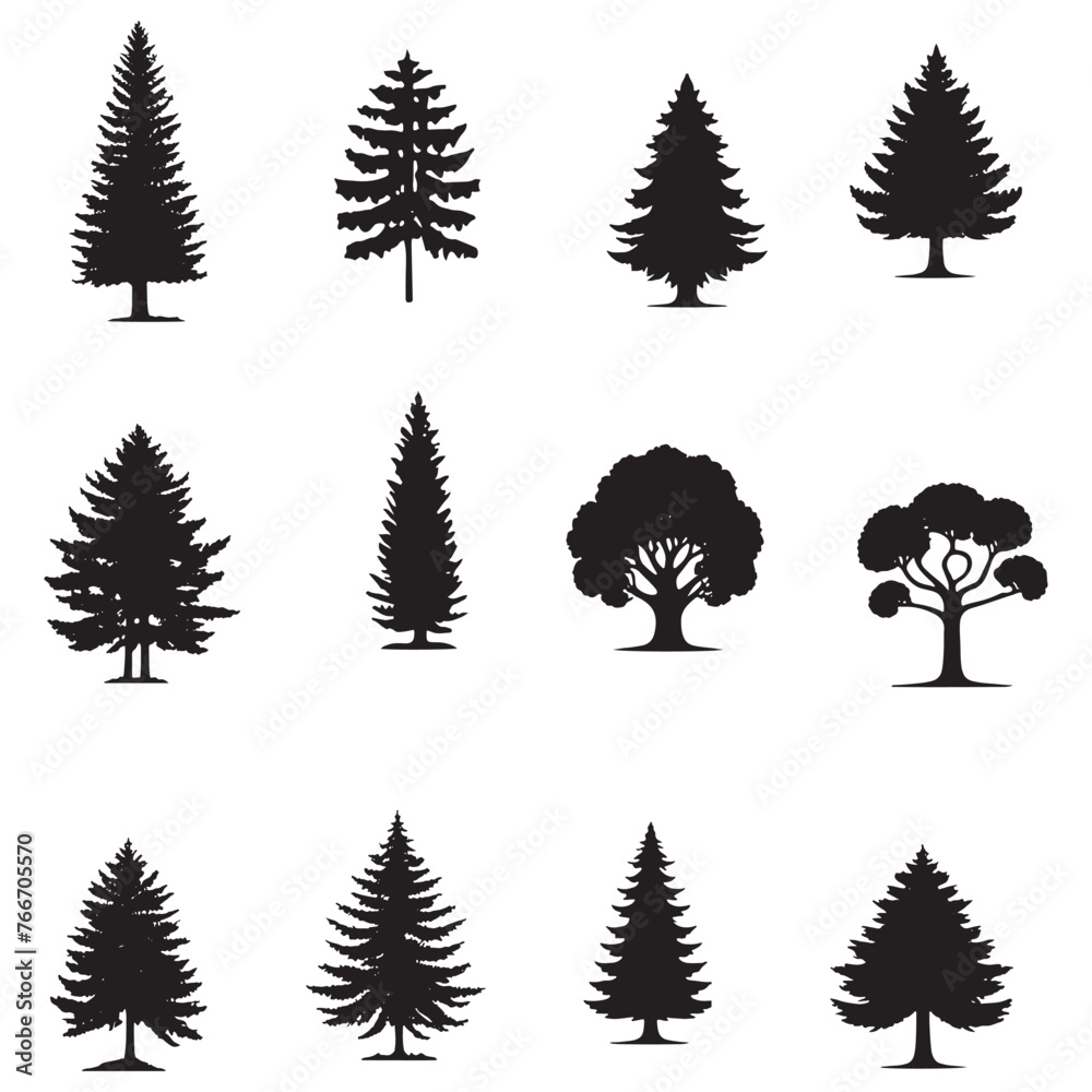 set of pine trees silhouettes on white