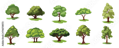 Tropical trees vector illustration set  cartoon tree plant collection