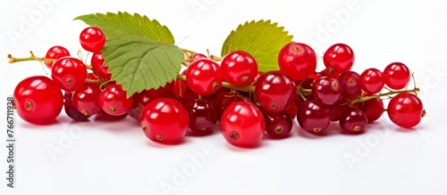 A colorful bunch of red currants with vibrant green leaves, a seedless fruit packed with nutrients and antioxidants. A beautiful art of natures produce on a white background