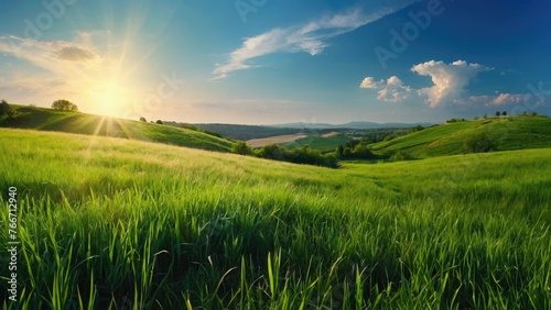 Field of grass and sunset, Beautiful grass landscape wallpaper, a blue sky with sun. colorful flower, Spring-summer blurred background, colorful flower and grass wallpaper, lens flare,