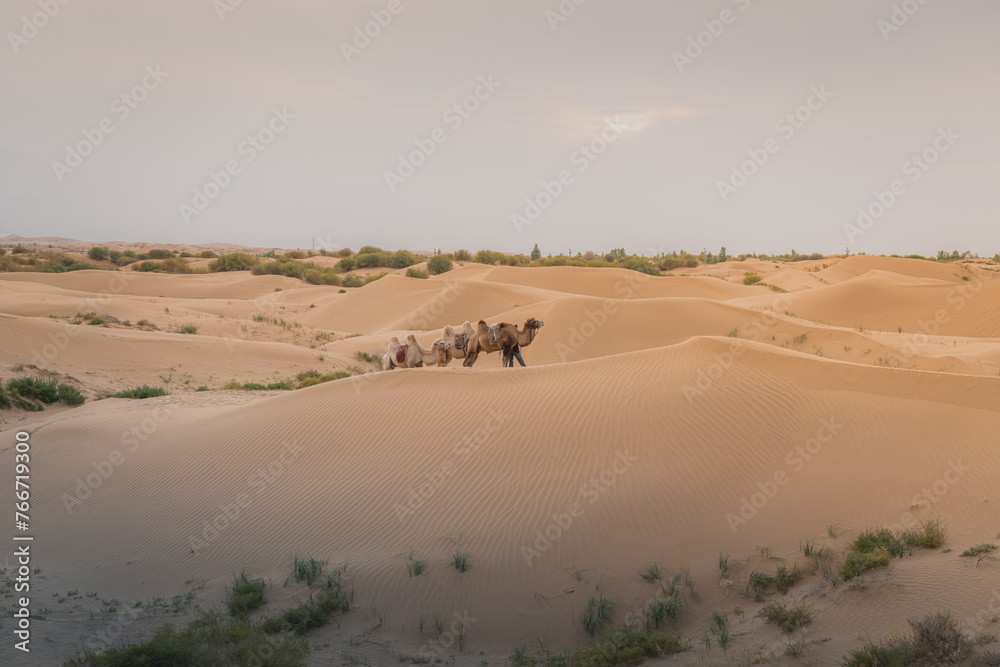 The sand hills in Ba Dan Ji Lin desert of Inner Mongolia, China The sand hills in Ba Dan Ji Lin desert of Inner Mongolia, China