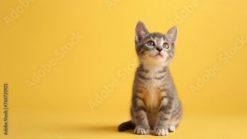 A charming kitten sits attentively against a bright yellow background, radiating innocence and curiosity by AI Generative.