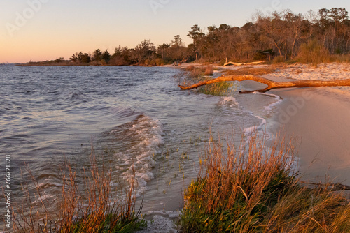 A scenic sunset view of the Cape Fear River from Carolina Beach State Park in North Carolina. 