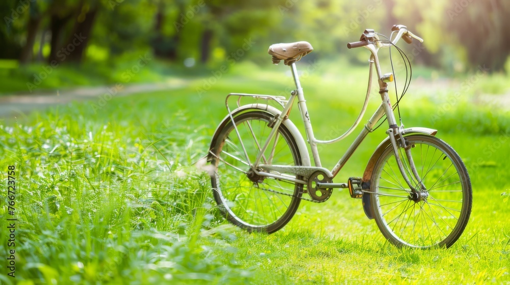 A vintage bicycle stands alone in a serene, sun-drenched park with lush green surroundings