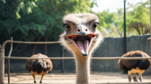 A ostrich in zoo looking at the camera from Generative AI