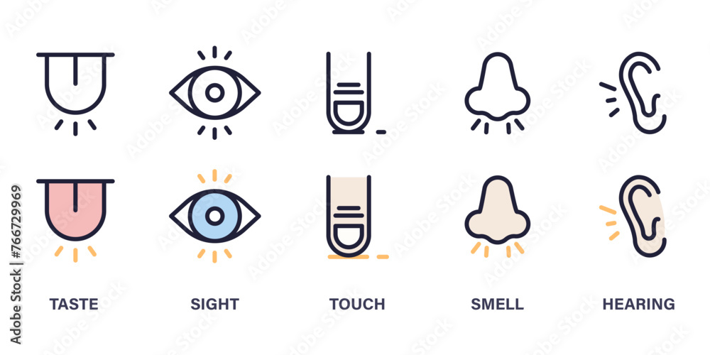 Five senses icon set: taste, sight, touch, smell, hearing - line art thin line Illustration symbols for sensory perception and human experience - obrazy, fototapety, plakaty 