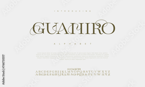 Guahiro premium luxury elegant alphabet letters and numbers. Vintage wedding typography classic serif font decorative vintage retro. Creative vector illustration