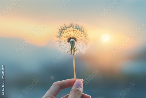 A hand holding a dandelion in a dark blue background.