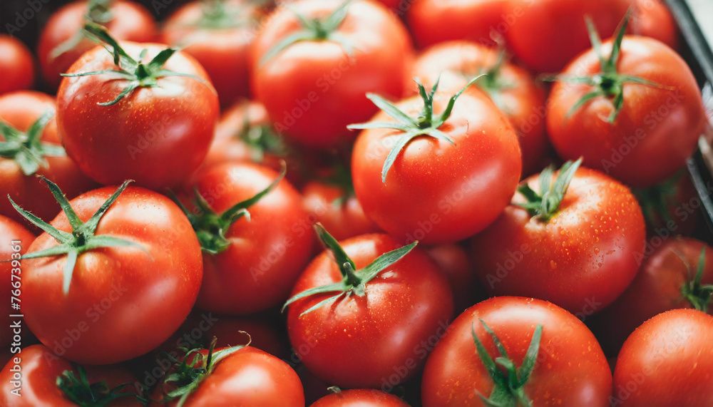 red tomatoes, full of freshness and flavor, arranged in a bountiful display, epitomizing farm-fresh produce