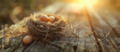 tiny egg-filled nest on a wooden surface