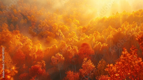 Radiant Autumn Forest at Sunrise The sun's first rays bathe an autumn forest in a radiant glow, amplifying the fiery reds and oranges of the foliage.