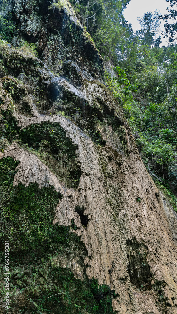 A fragment of a beautiful tropical waterfall. Thin streams of water flow down the openwork terraces. Green vegetation on the mountainside. Tumalog Falls. Philippines. Cebu. Oslob
