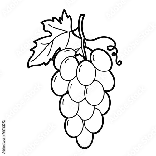 Fruits. Grapes. Outline illustration on white background, design element.	
