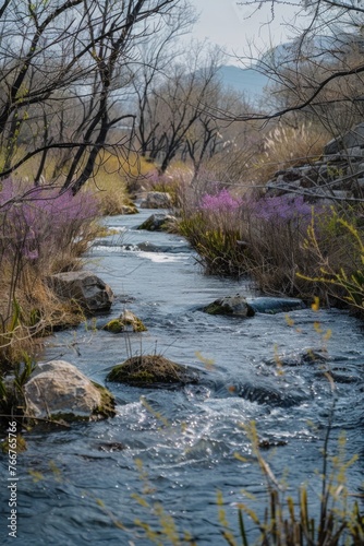 River with rocky bed and purple flowers on banks © Alexandr