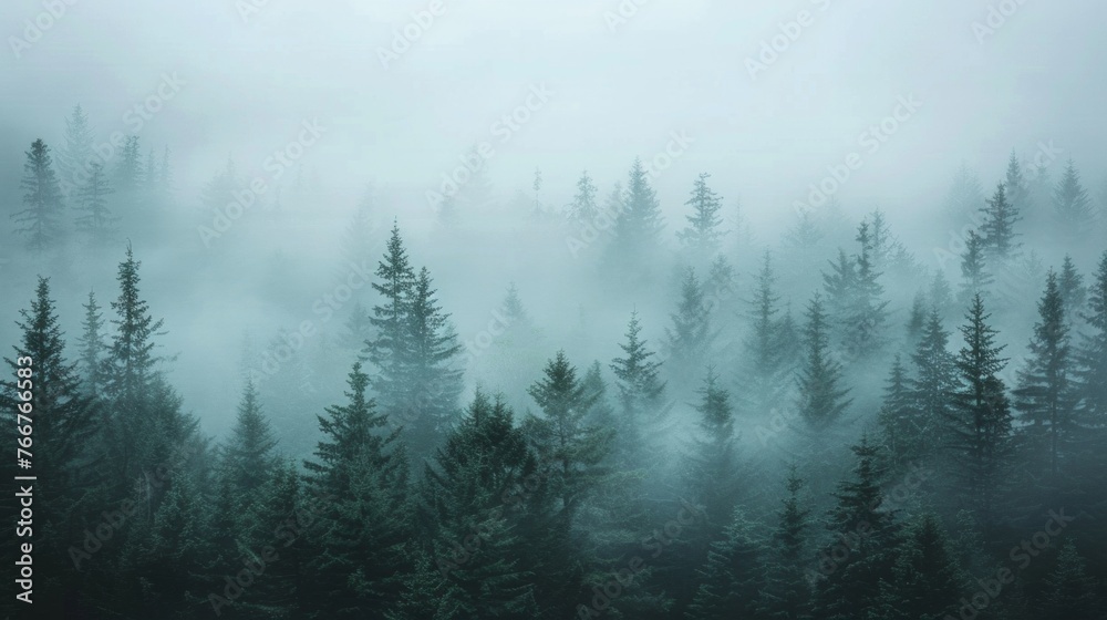 A serene fir forest shrouded in mist, with the scene rendered in a hipster vintage retro style that highlights the tranquil beauty of the landscape, AI Generative