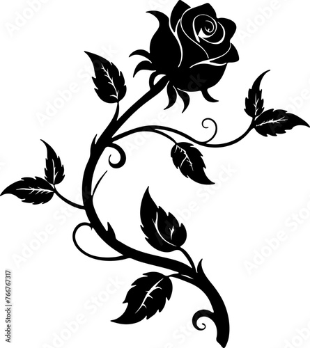 Rose vine