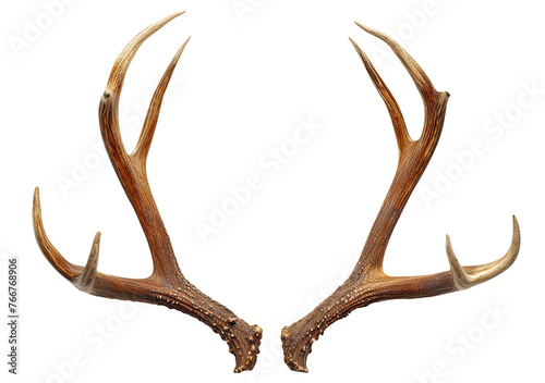 Deer antlers isolated on transparent background